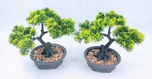 BONSAI FA MAG.:25CM